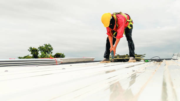 Sheet Metal Roofing in East Bangor, PA